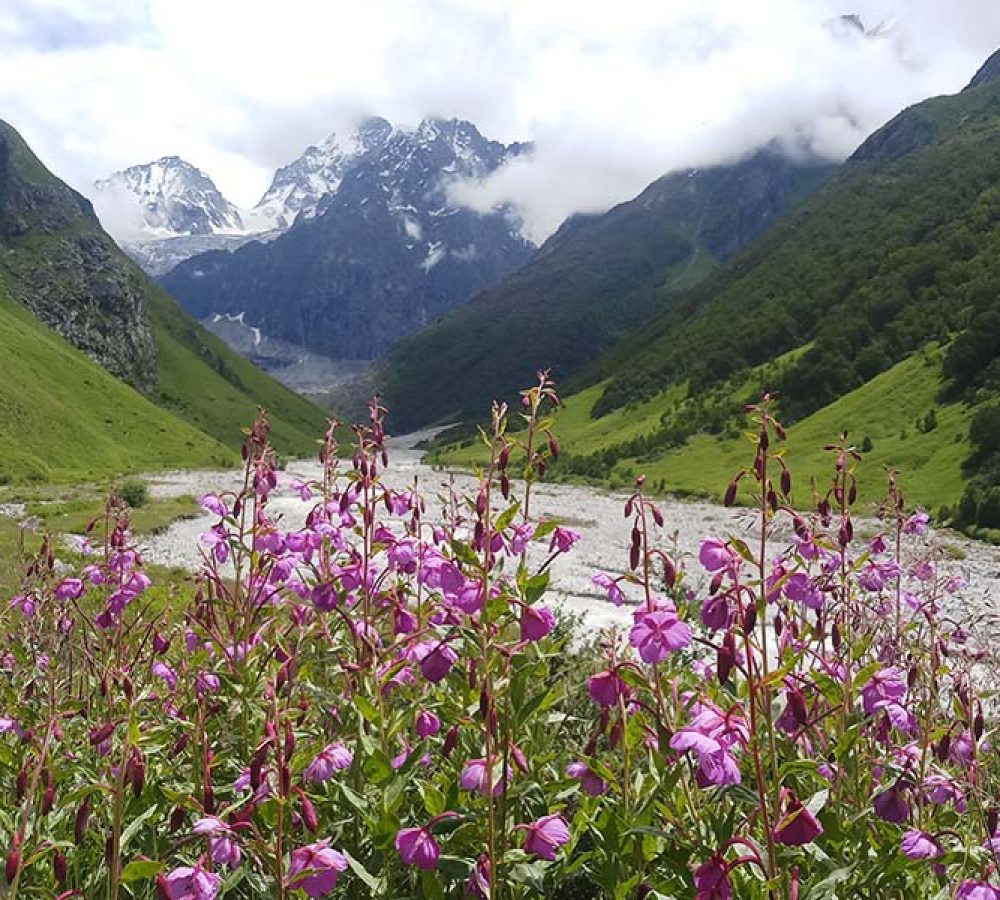 VALLEY OF FLOWERS TREK